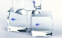 Store your sperm for later in life