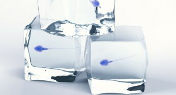 Storing Sperm Offers You More Choice Later in Life